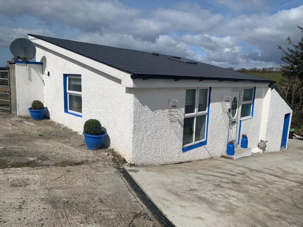 The Honeycomb * Ballyshannon